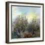 November-RUNA-Framed Giclee Print