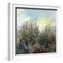 November-RUNA-Framed Giclee Print