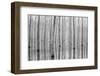 Novembre 2014-Aglioni Simone-Framed Photographic Print