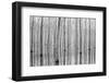 Novembre 2014-Aglioni Simone-Framed Photographic Print