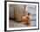 Novice Buddhist Monk Kneeling Beneath the Phra Atchana Buddha Statue, Sukhothai Province, Thailand-Gavin Hellier-Framed Photographic Print