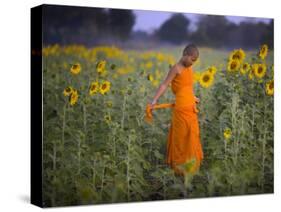 Novice Buddhist Monk Makes His Way Through a Field of Sunflowers as 10,000 Gather, Thailand-null-Stretched Canvas