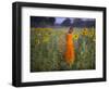 Novice Buddhist Monk Makes His Way Through a Field of Sunflowers as 10,000 Gather, Thailand-null-Framed Photographic Print