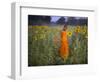 Novice Buddhist Monk Makes His Way Through a Field of Sunflowers as 10,000 Gather, Thailand-null-Framed Photographic Print