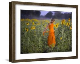 Novice Buddhist Monk Makes His Way Through a Field of Sunflowers as 10,000 Gather, Thailand-null-Framed Photographic Print