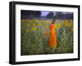 Novice Buddhist Monk Makes His Way Through a Field of Sunflowers as 10,000 Gather, Thailand-null-Framed Photographic Print