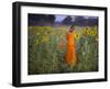 Novice Buddhist Monk Makes His Way Through a Field of Sunflowers as 10,000 Gather, Thailand-null-Framed Photographic Print