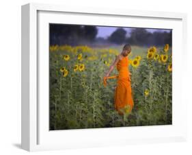 Novice Buddhist Monk Makes His Way Through a Field of Sunflowers as 10,000 Gather, Thailand-null-Framed Photographic Print