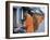 Novice Buddhist Monks Collecting Alms of Rice, Luang Prabang, Laos, Indochina, Southeast Asia, Asia-Upperhall Ltd-Framed Photographic Print