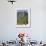 Novice Monk Walking Along Road to Sangachoeling Gompa, Pelling, Sikkim, India-Jane Sweeney-Framed Photographic Print displayed on a wall