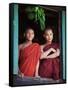 Novice Monk with Food Bowl and Utensils at Pathain Monastery, Sittwe, Burma, Myanmar-Nigel Pavitt-Framed Stretched Canvas