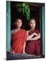 Novice Monk with Food Bowl and Utensils at Pathain Monastery, Sittwe, Burma, Myanmar-Nigel Pavitt-Mounted Photographic Print