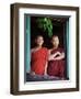 Novice Monk with Food Bowl and Utensils at Pathain Monastery, Sittwe, Burma, Myanmar-Nigel Pavitt-Framed Photographic Print