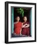 Novice Monk with Food Bowl and Utensils at Pathain Monastery, Sittwe, Burma, Myanmar-Nigel Pavitt-Framed Photographic Print