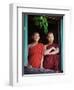 Novice Monk with Food Bowl and Utensils at Pathain Monastery, Sittwe, Burma, Myanmar-Nigel Pavitt-Framed Photographic Print