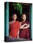 Novice Monk with Food Bowl and Utensils at Pathain Monastery, Sittwe, Burma, Myanmar-Nigel Pavitt-Stretched Canvas