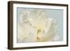 Now Serene-Julie Greenwood-Framed Art Print