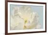 Now Serene-Julie Greenwood-Framed Art Print