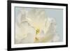 Now Serene-Julie Greenwood-Framed Art Print