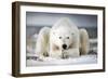 Now That You Wake Me Up Is Better for You to Start Running-Alberto Ghizzi Panizza-Framed Photographic Print