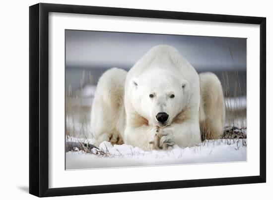 Now That You Wake Me Up Is Better for You to Start Running-Alberto Ghizzi Panizza-Framed Photographic Print