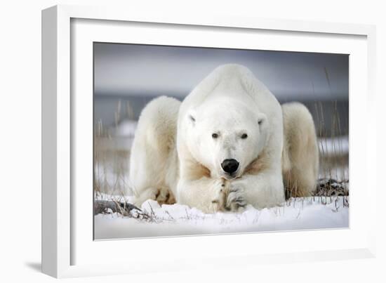 Now That You Wake Me Up Is Better for You to Start Running-Alberto Ghizzi Panizza-Framed Photographic Print