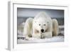 Now That You Wake Me Up Is Better for You to Start Running-Alberto Ghizzi Panizza-Framed Photographic Print