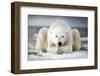 Now That You Wake Me Up Is Better for You to Start Running-Alberto Ghizzi Panizza-Framed Photographic Print