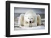 Now That You Wake Me Up Is Better for You to Start Running-Alberto Ghizzi Panizza-Framed Photographic Print