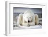 Now That You Wake Me Up Is Better for You to Start Running-Alberto Ghizzi Panizza-Framed Photographic Print