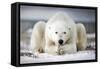Now That You Wake Me Up Is Better for You to Start Running-Alberto Ghizzi Panizza-Framed Stretched Canvas