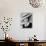 Now, Voyager, 1942-null-Photographic Print displayed on a wall