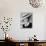 Now, Voyager, 1942-null-Mounted Photographic Print displayed on a wall