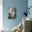 Now, Voyager-null-Mounted Photo displayed on a wall