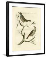 Nozeman Birds II-Nozeman-Framed Art Print