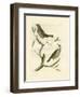 Nozeman Birds II-Nozeman-Framed Art Print