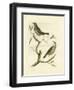 Nozeman Birds II-Nozeman-Framed Art Print