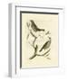 Nozeman Birds II-Nozeman-Framed Art Print