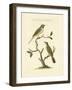 Nozeman Birds III-Nozeman-Framed Art Print