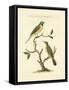 Nozeman Birds III-Nozeman-Framed Stretched Canvas