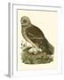 Chelsea White