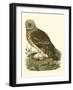 Nozeman Owls I-Nozeman-Framed Art Print