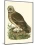 Nozeman Owls I-Nozeman-Mounted Art Print