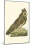 Nozeman Owls III-Nozeman-Mounted Art Print