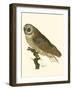 Nozeman Owls IV-Nozeman-Framed Art Print