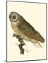 Nozeman Owls IV-Nozeman-Mounted Art Print