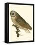 Nozeman Owls IV-Nozeman-Framed Stretched Canvas