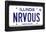 NRVOUS License Plate Movie Poster-null-Framed Poster