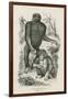 Nshiego Mbouve and Young, Troglodytes Calvu-null-Framed Giclee Print