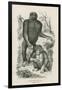 Nshiego Mbouve and Young, Troglodytes Calvu-null-Framed Giclee Print